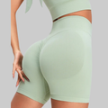 Serena Seamless Shorts (Mint Green)