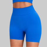 Serena Seamless Shorts (Blue)