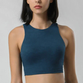 Lanie Sports Bra (Blue)