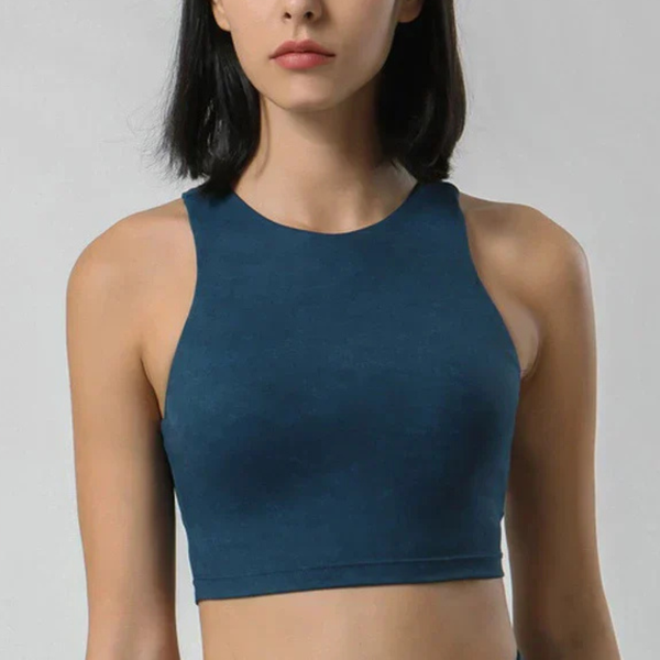 Lanie Sports Bra (Blue)