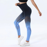 Lucy Seamless Leggings (Blue)
