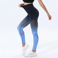 Lucy Seamless Leggings (Blue)