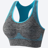 Willow Sports Bra (Blue)