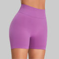Serena Seamless Shorts (Light Violet)