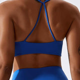 Evelyn Sports Bra (Blue)