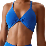 Evelyn Sports Bra (Blue)
