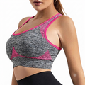 Willow Sports Bra (Pink)