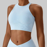 Ellen Sports Bra (Sky Blue)