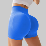 Scarlett Shorts (Blue)