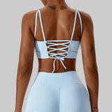 Diane Sports Bra (Sky Blue)